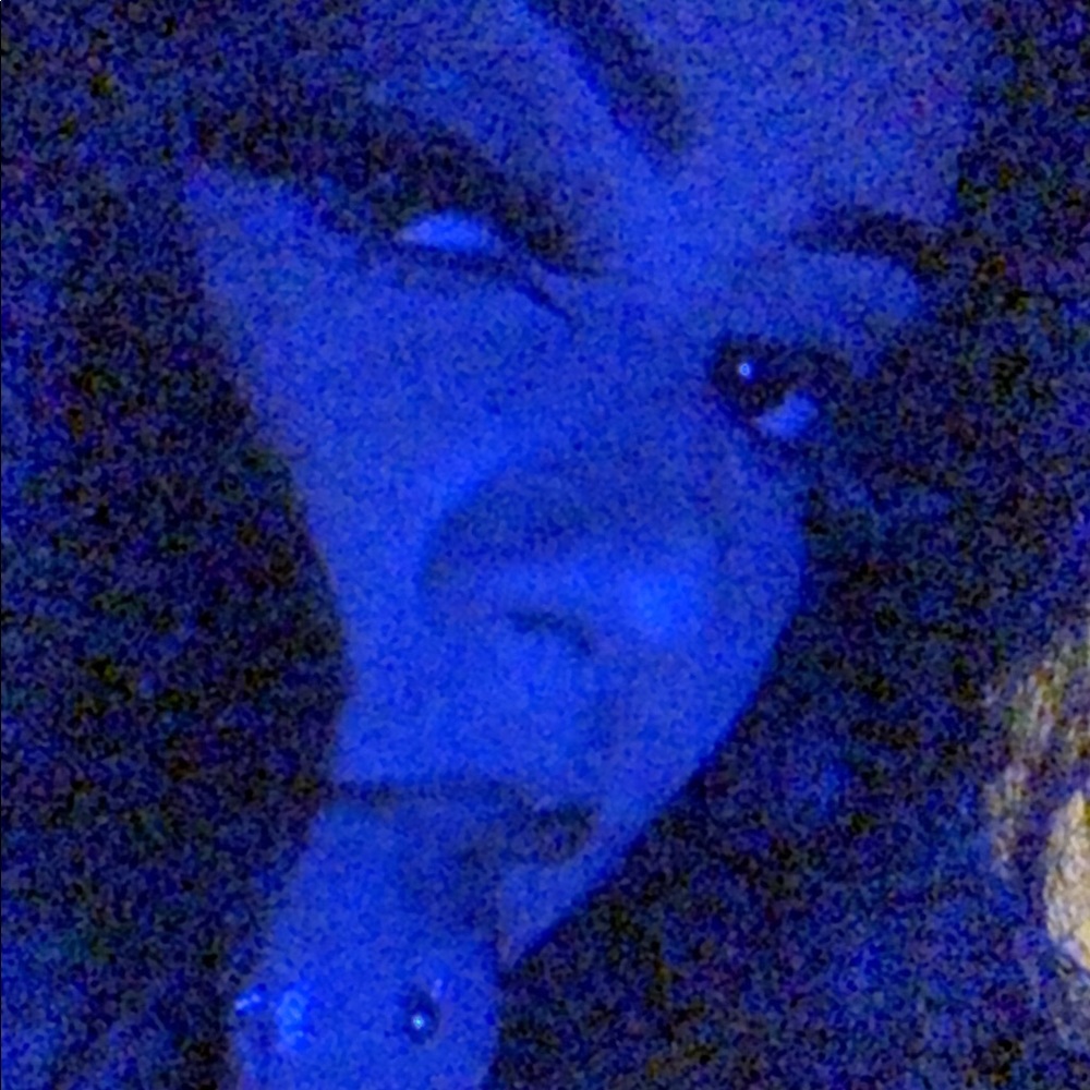 Meet your Posher, Selene